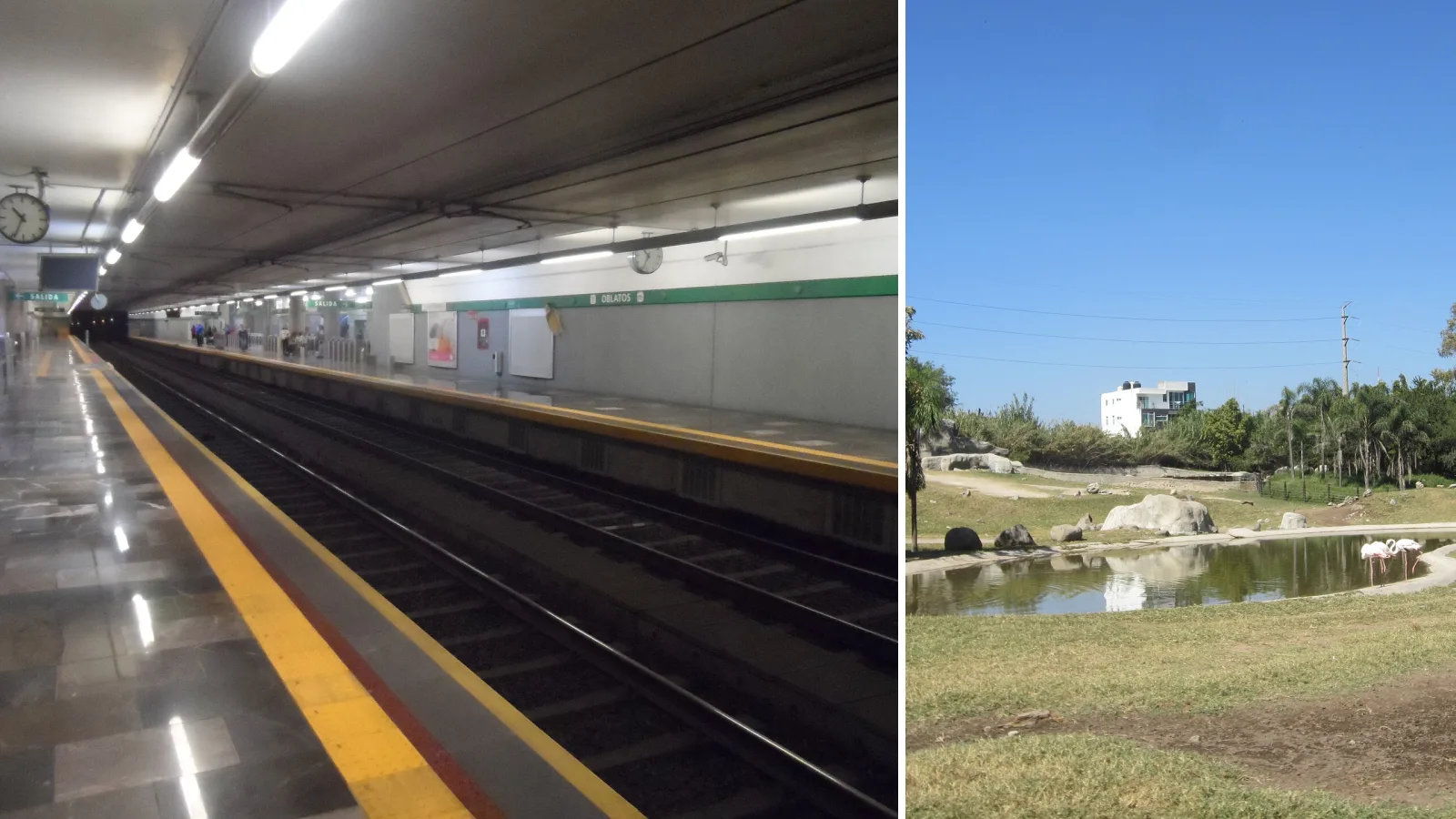 Oblatos estación del Tren Ligero de Guadalajara, Zoológico Guadalajara — fotos ilustrativas