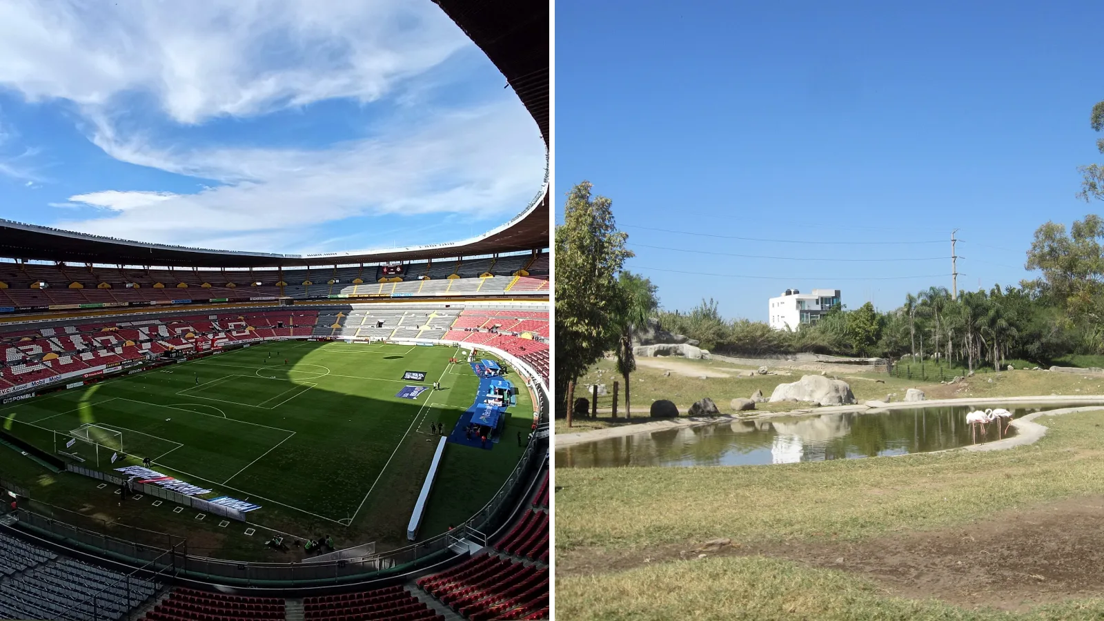 Estadio Jalisco, Zoológico Guadalajara — fotos ilustrativas